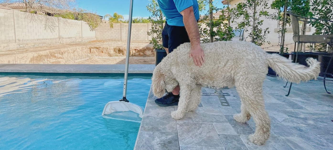 pool cleaning service