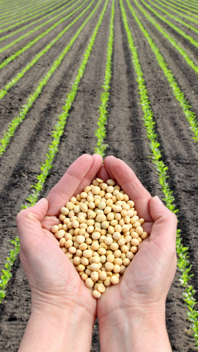 bulk bags for agriculture