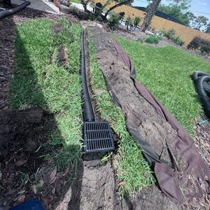 A house with a lot of plants and mulch in front of it.