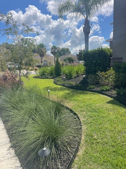 A lush green lawn with a palm tree in the background.