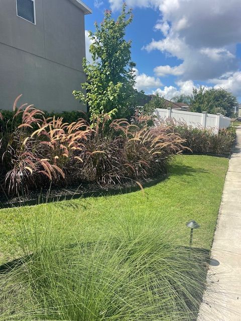 A sidewalk leading to a house with a lot of grass