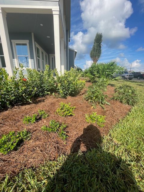 A house with a lot of plants and mulch in front of it.