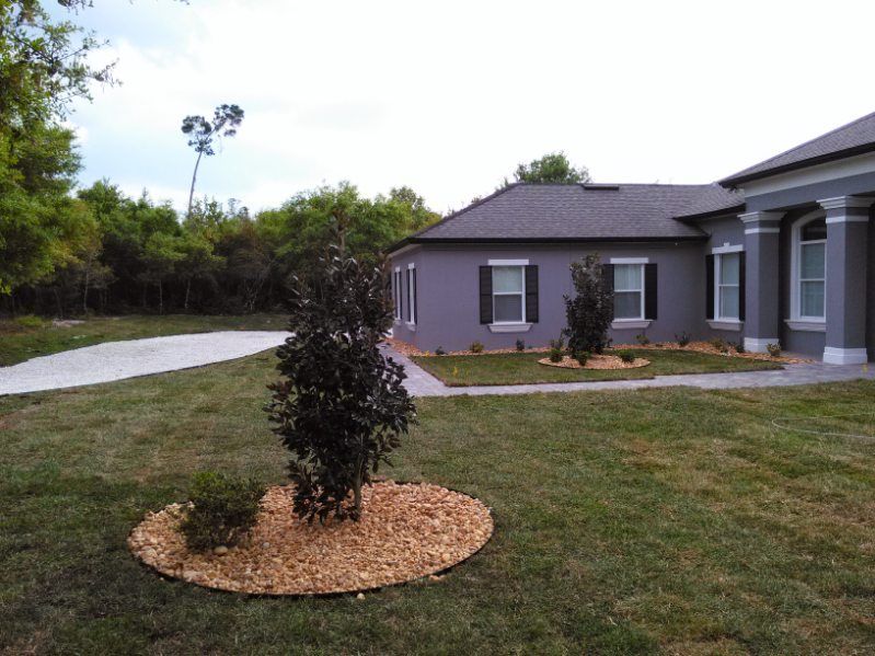 A house with a lush green lawn and a tree in front of it.