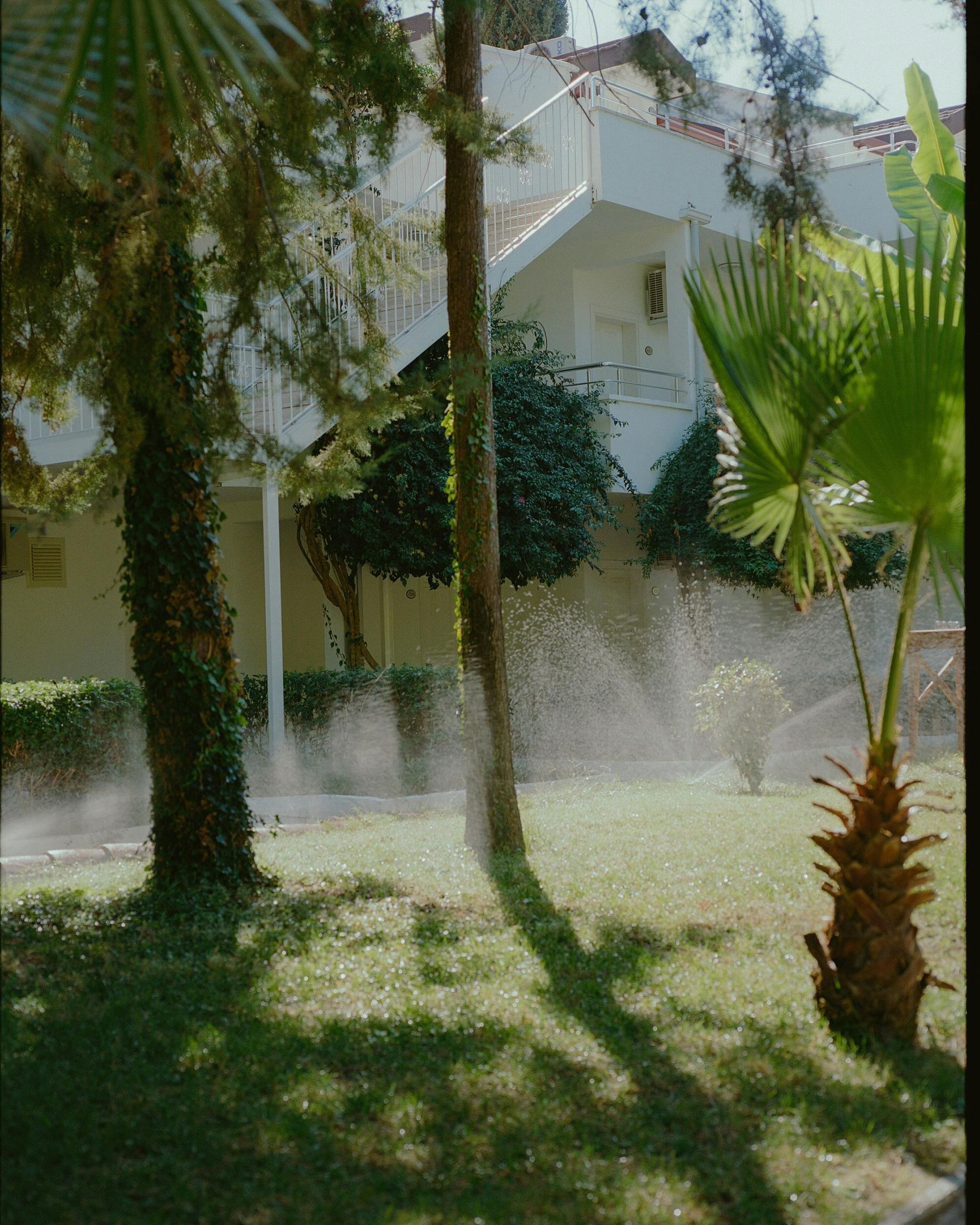 A house with a lot of plants and mulch in front of it.