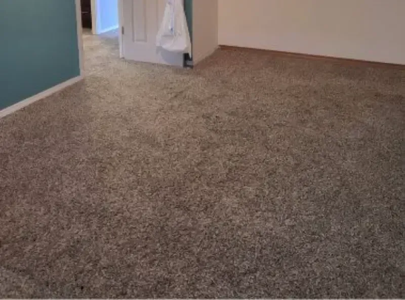 A carpeted bedroom floor with a teal wall on the left and a white door in the background.