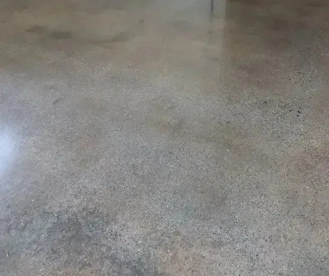 Polished concrete floor, gray with subtle variations and a slight sheen.