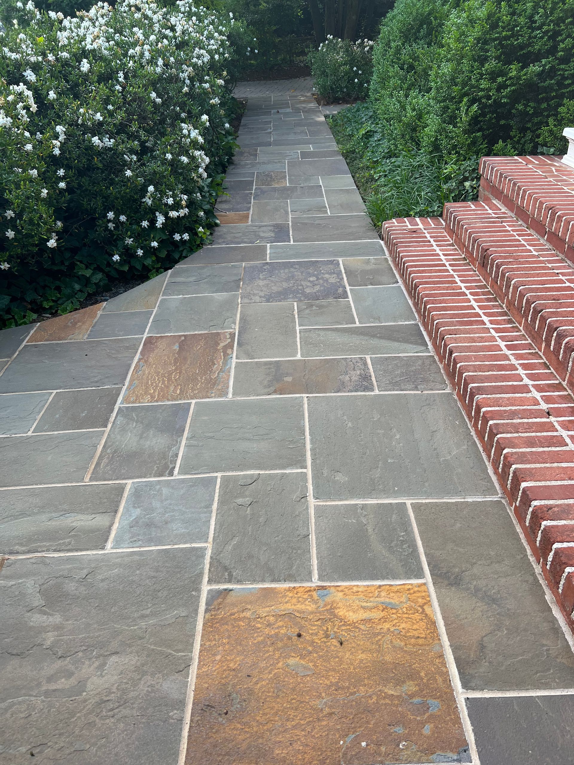 A stone walkway with brick steps and bushes on the side