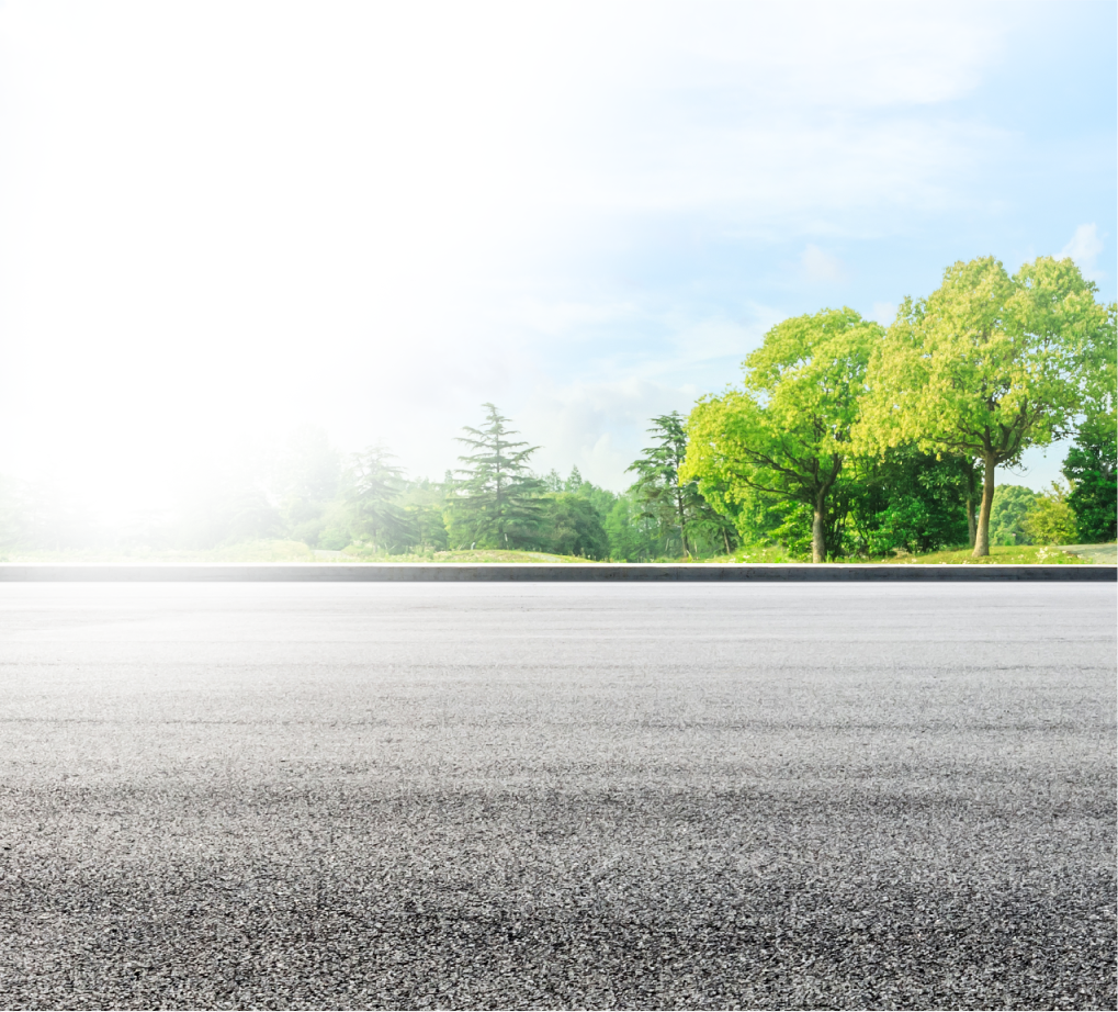Asphalt road with trees on a sunny day. | Pro Tire & Automotive Center