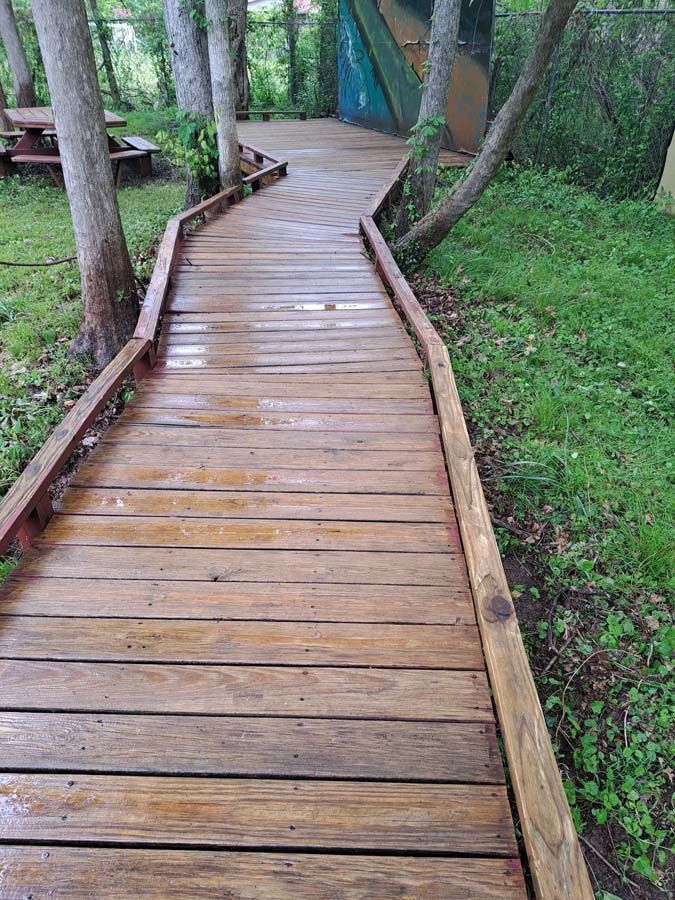 A wooden walkway going through a lush green forest.
