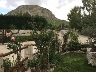 Giardino con arbusti e fiori rosa di fronte a una montagna rocciosa sotto un cielo nuvoloso