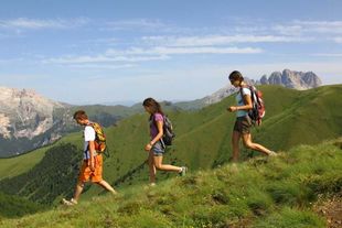 Tre escursionisti con gli zaini in spalla camminano lungo un sentiero erboso di montagna sotto un cielo azzurro.