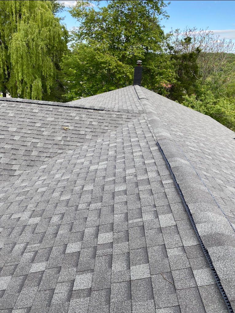 A close up of a roof with a chimney and trees in the background.