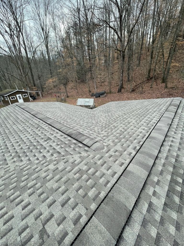 A close up of a roof with trees in the background.