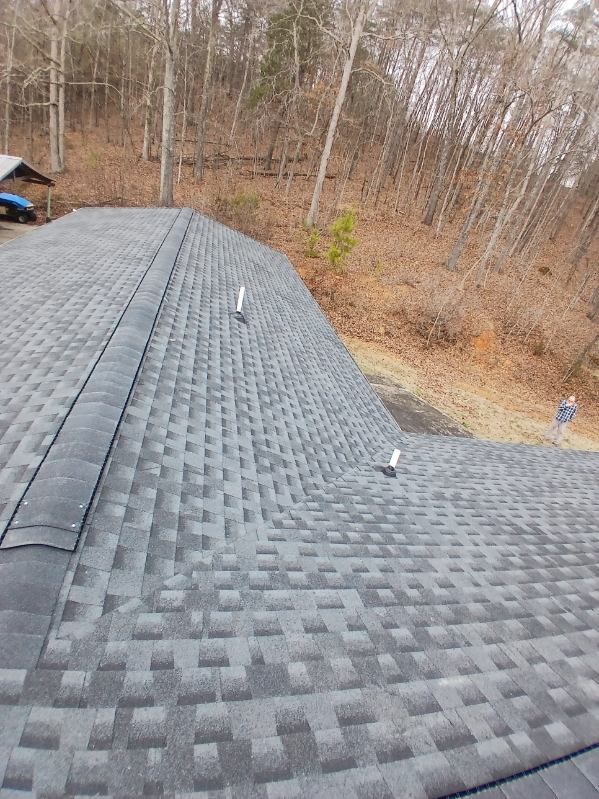 The roof of a house is covered in shingles and is surrounded by trees.