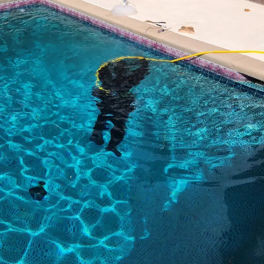 A diver in a black wetsuit underwater beside a pool wall, with a yellow hose trailing above.