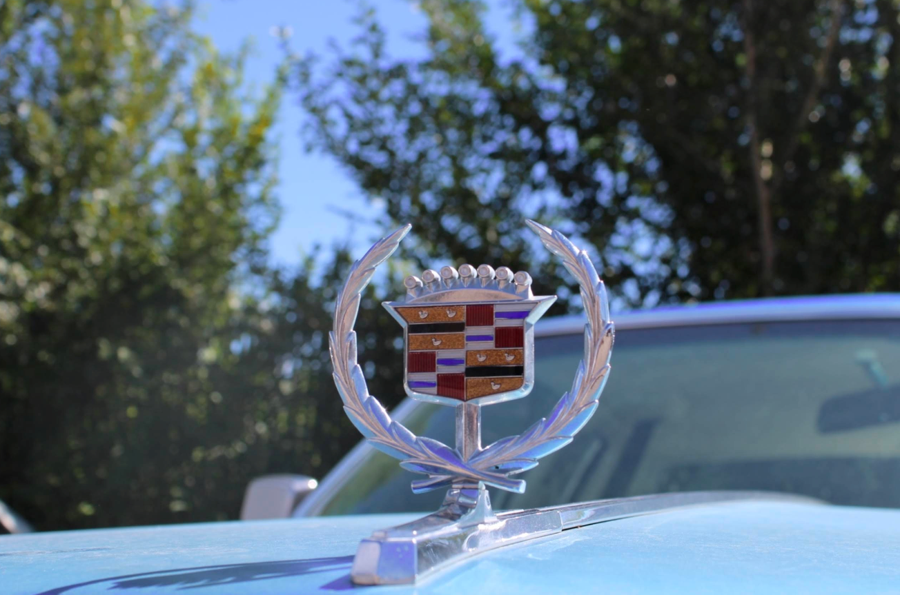 Cadillac emblem on a blue car hood; silver wreath with colored crest, green trees in background. | Jeanithe Motorsports