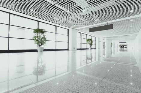 A bright, modern hallway with polished floors, large windows, two potted plants, and a grid-patterned ceiling.