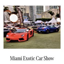 An orange Lamborghini and a blue Lamborghini are displayed at the Miami Exotic Car Show, with city buildings in the background.
