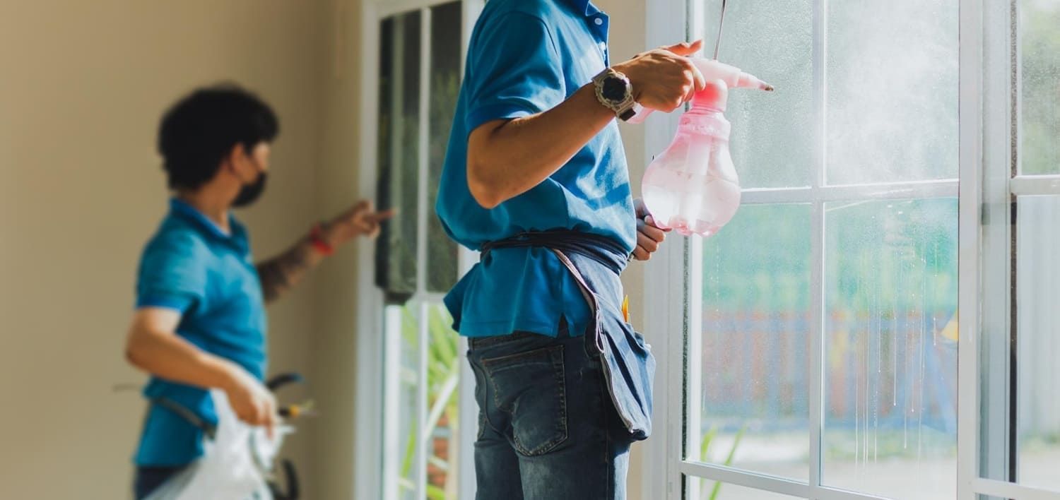 home window tinting Florida