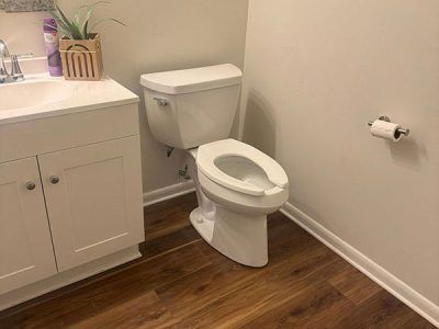Bathroom with a white toilet and sink. The toilet has a raised seat and is next to a white vanity and wood-look flooring.