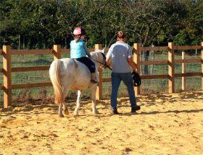 Horse riding lessons - Kilmarnock  - Lisa Shanks Certified Freelance Instructor/Rider  - Horse training