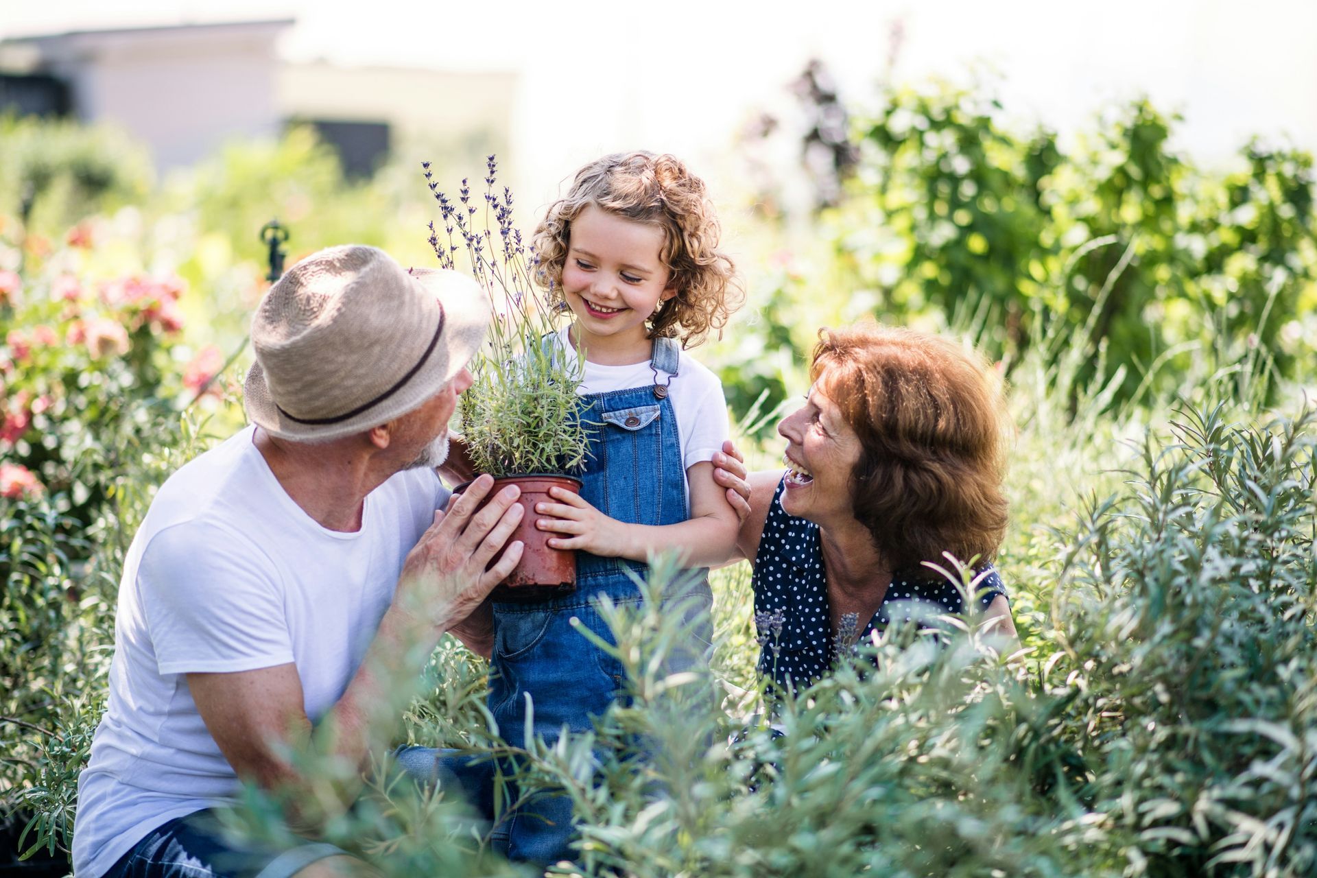 An elderly couple and a little girl are holding a potted plant in a garden.