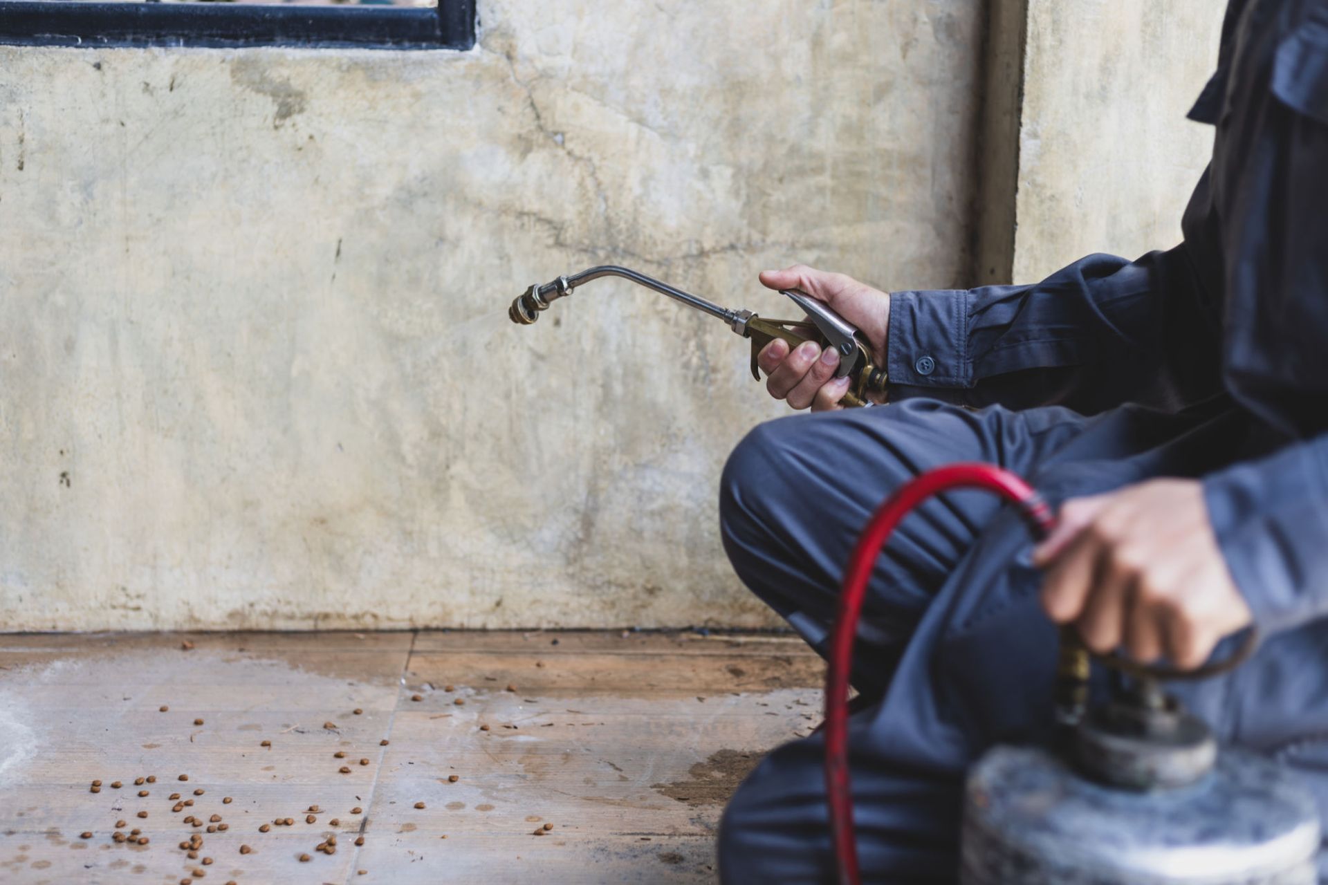 A man is spraying a wall with a sprayer — Overland Park, KS — Johnson County Solutions