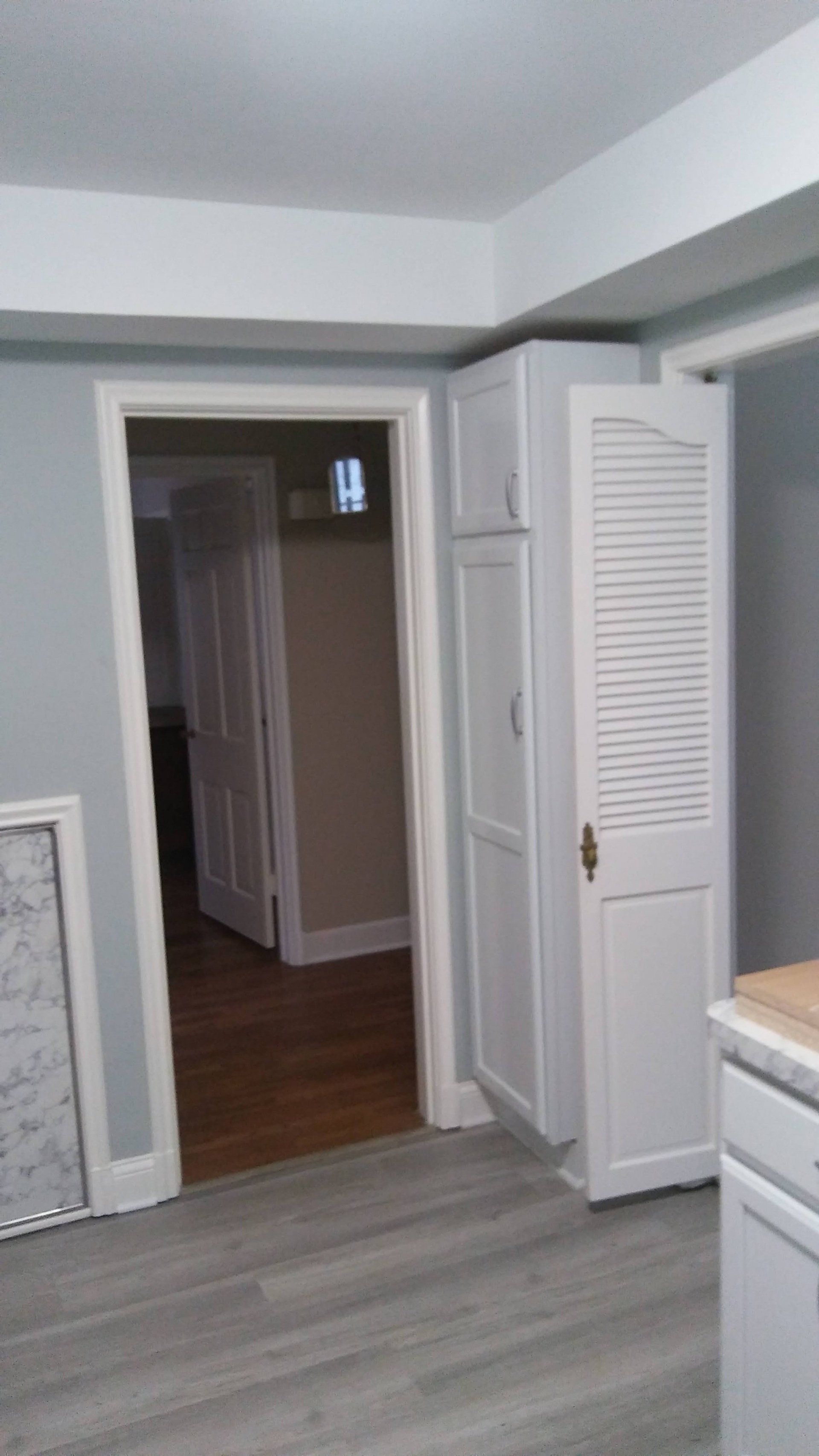 A kitchen with a closet and a door leading to a hallway.