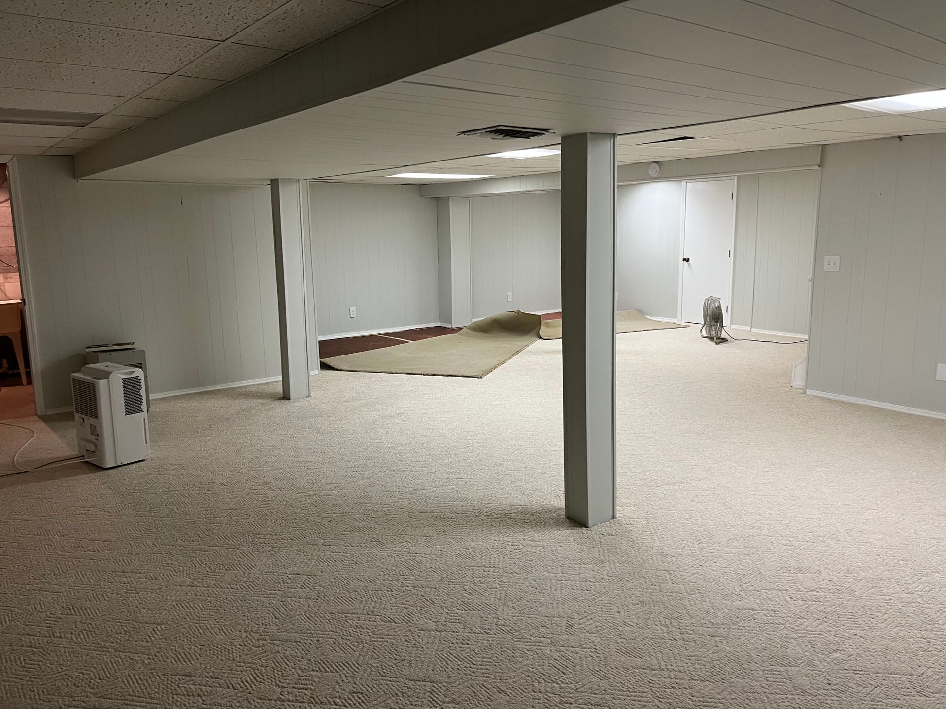 An empty basement with a carpeted floor and a fan.