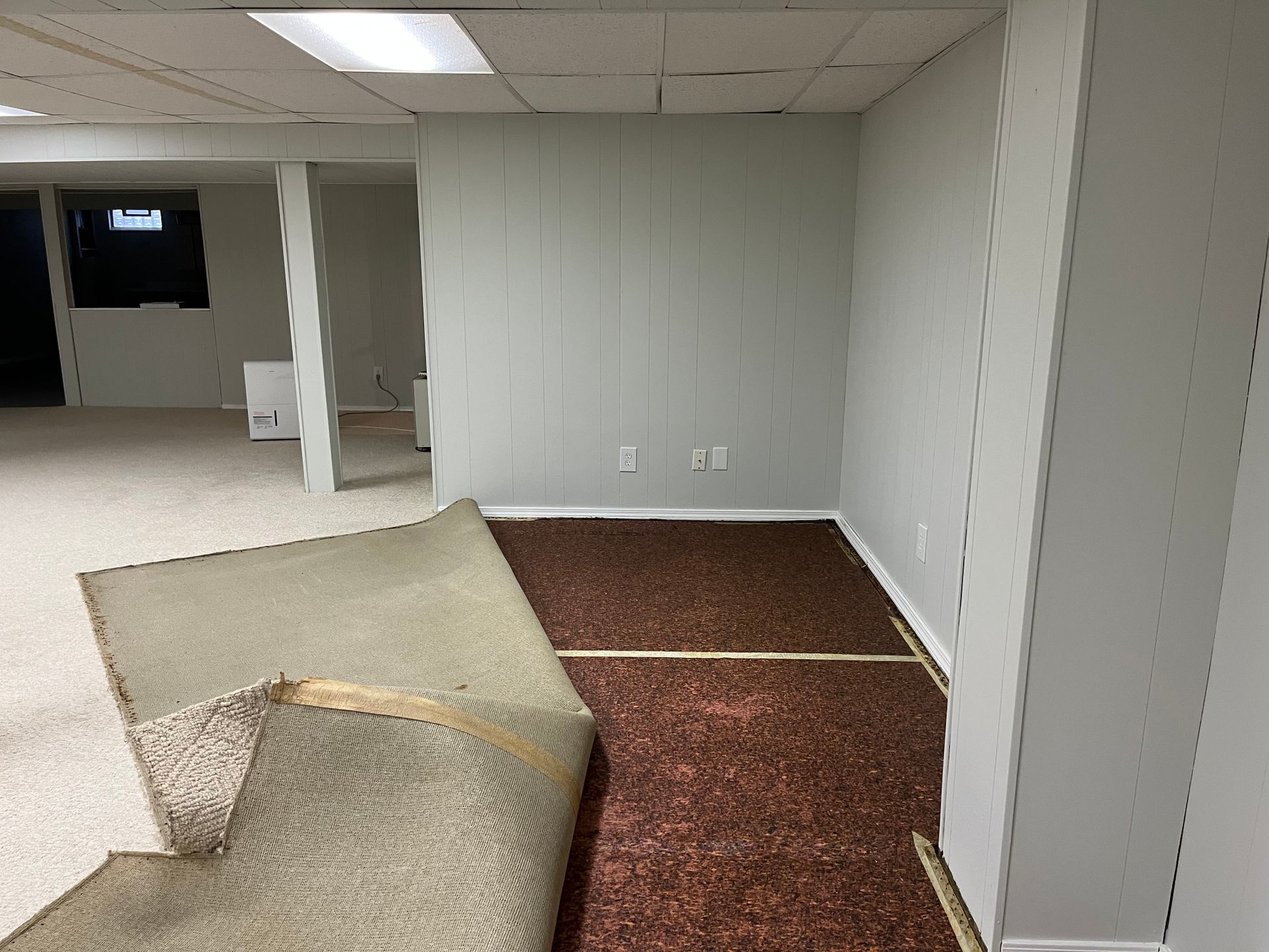A basement with a carpeted floor and white walls.