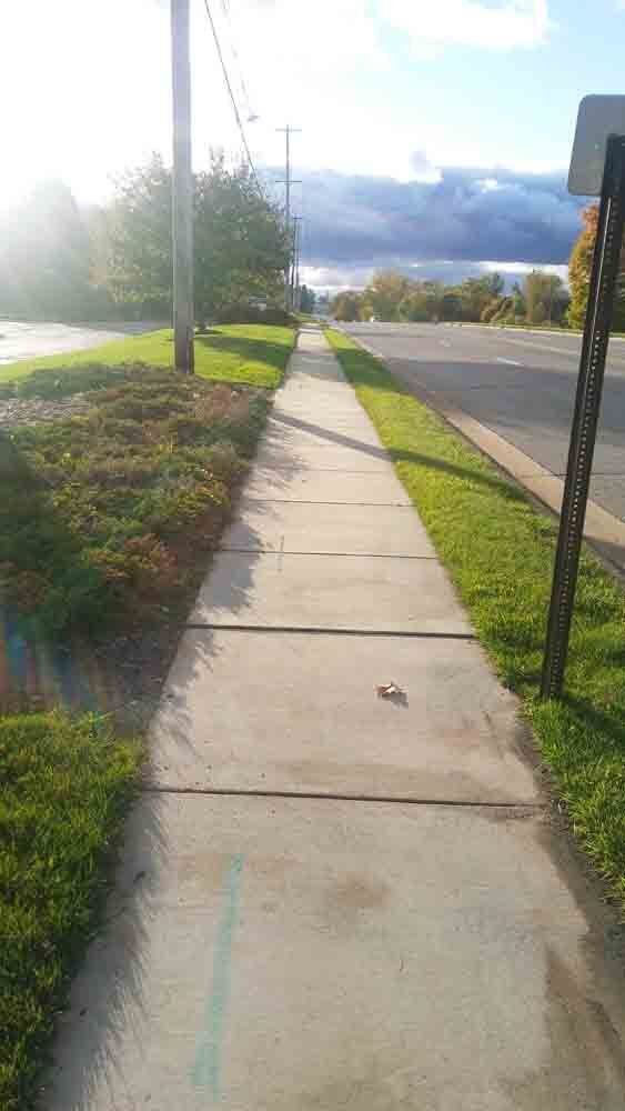 A sidewalk leading to a street with a stop sign on the side of it.