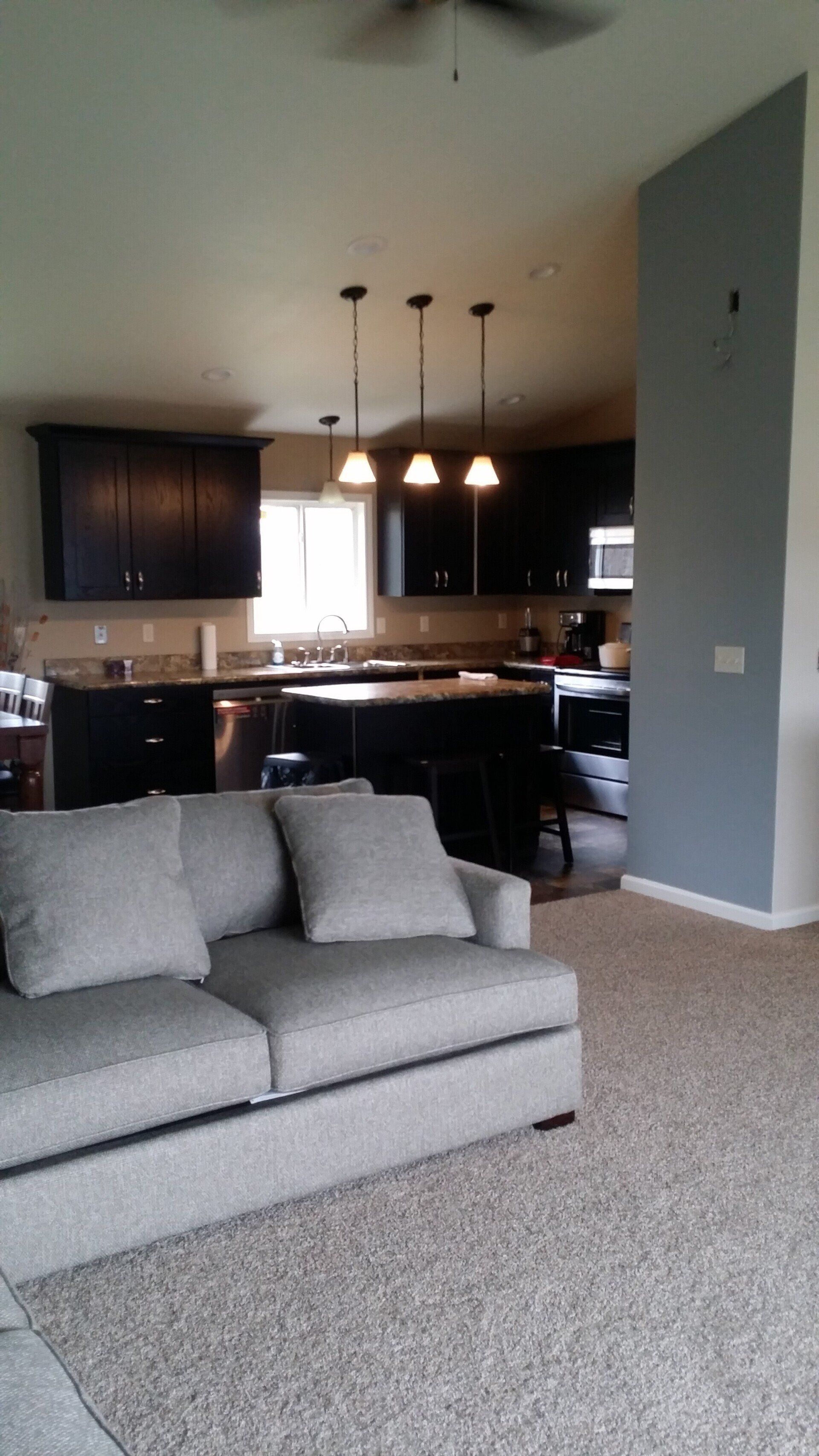 A living room with a couch and a kitchen in the background.