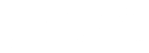 Twin Sister Docs - Logo