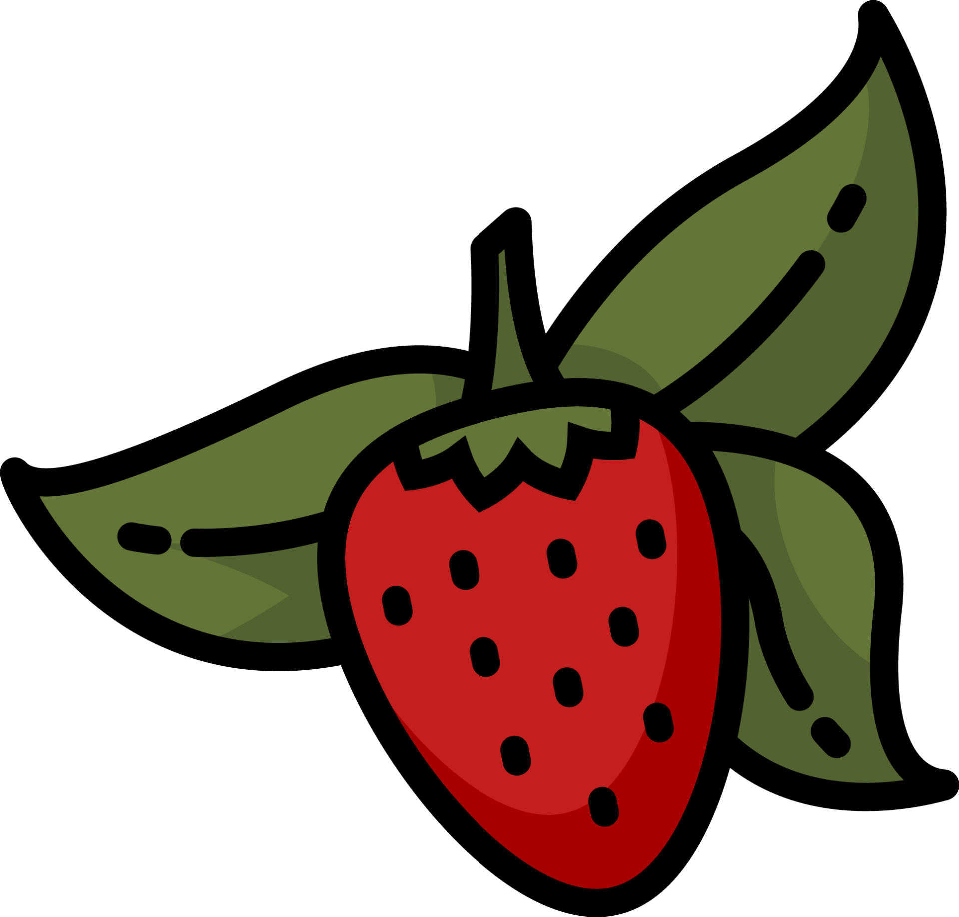 carlsbad strawberry company