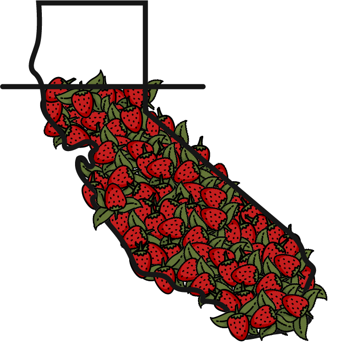 California freshest strawberries