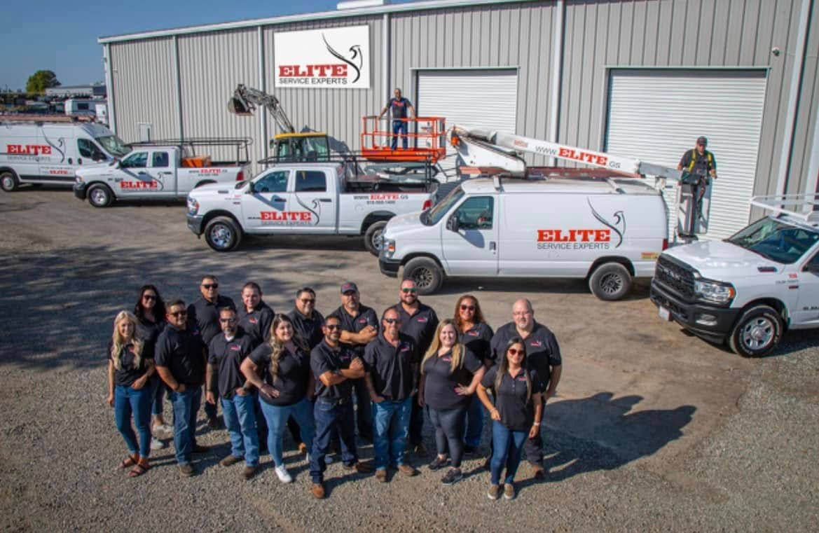 A group of staff stands in front of Elite Sign Solutions vehicles and their building on a sunny day.