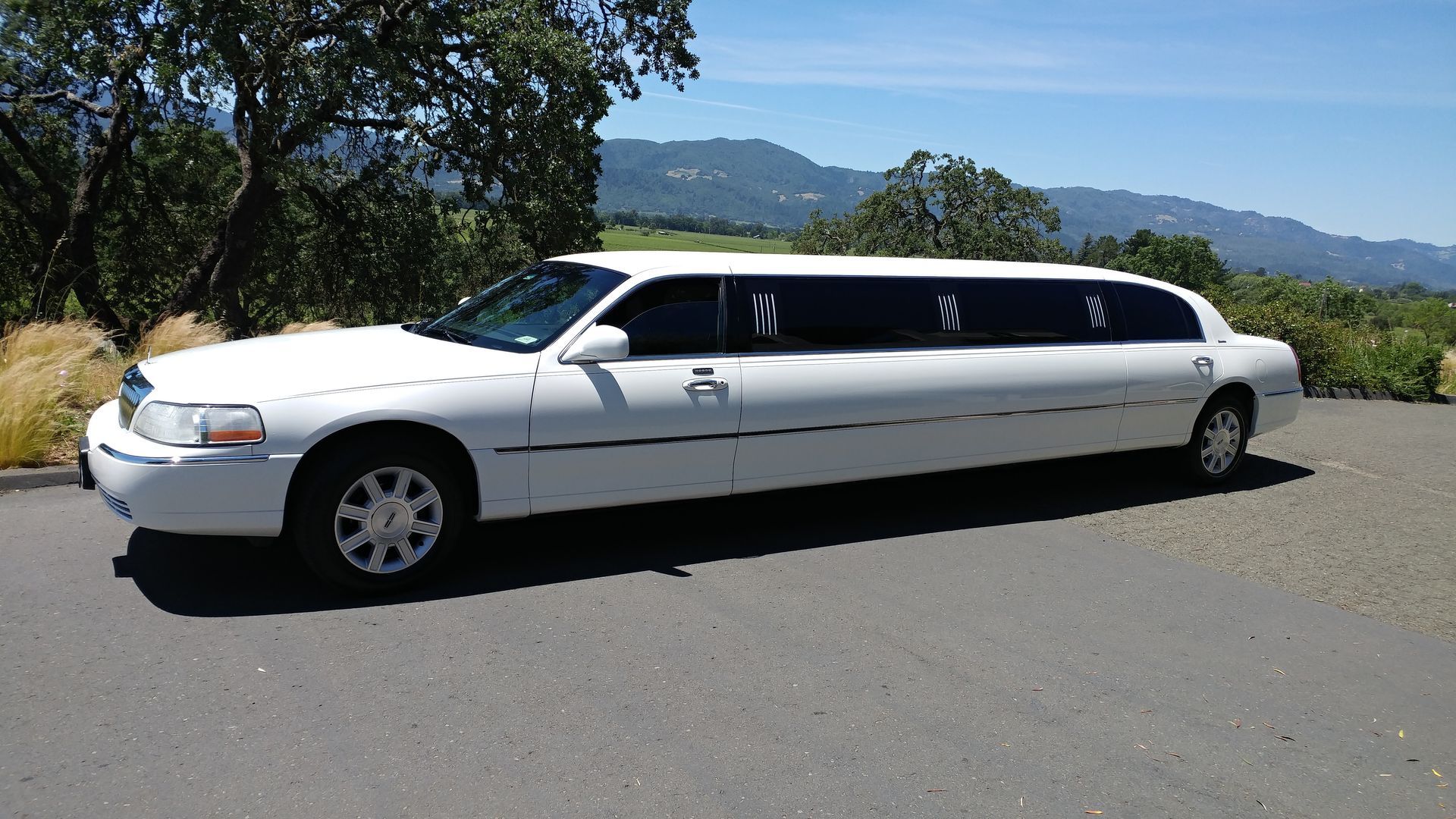 A white limousine is parked on the side of the road.