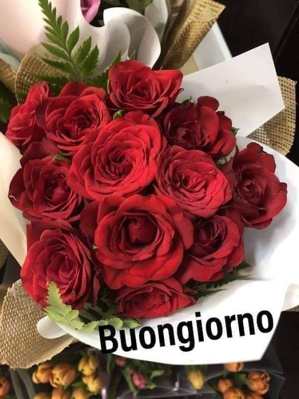 foto buongiorno