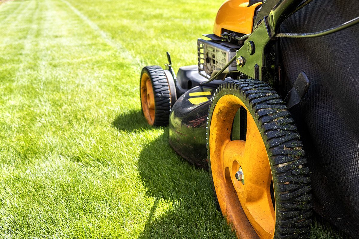 GIARDINAGGIO treviso