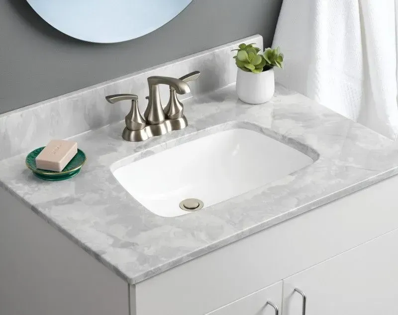 Bathroom vanity with white sink, gray countertop, brushed nickel faucet, soap, and small plant.