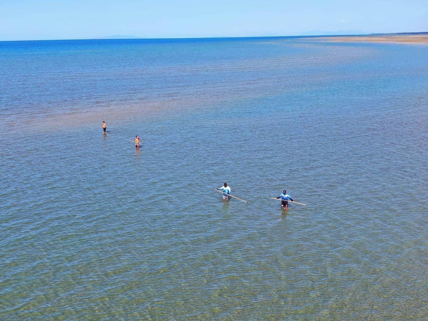 A group of people are swimming in the ocean.
