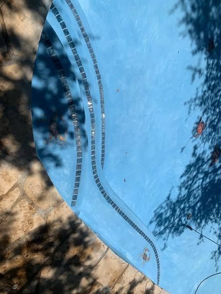 A blue swimming pool with a reflection of trees in the water.