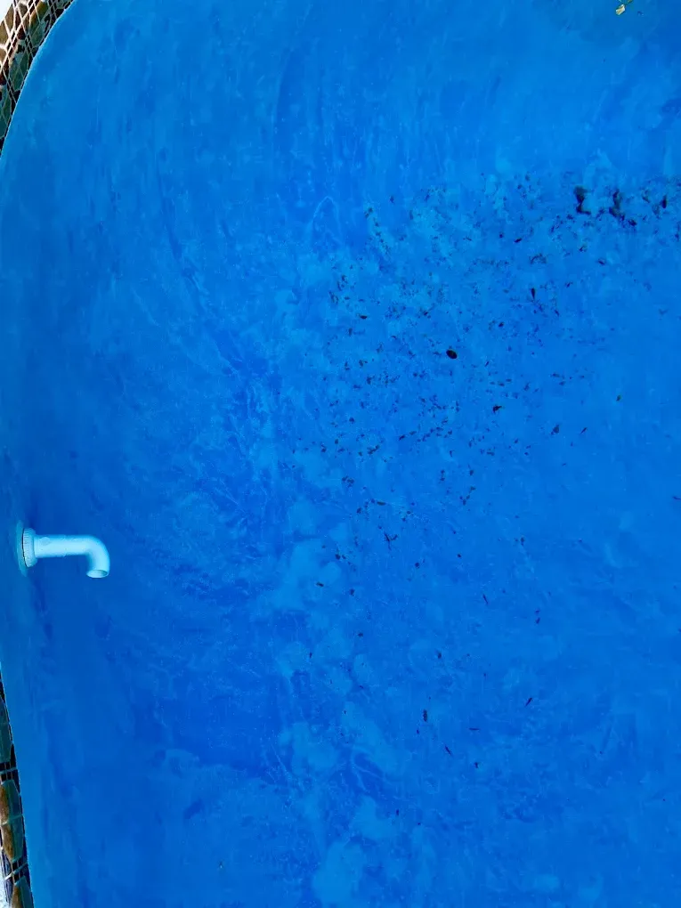 An aerial view of a large blue swimming pool.