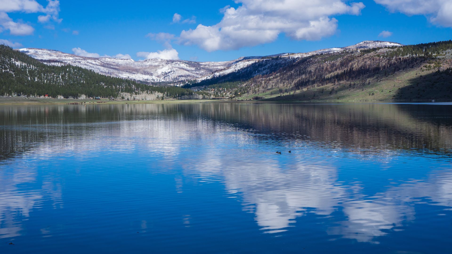 panguitch lake