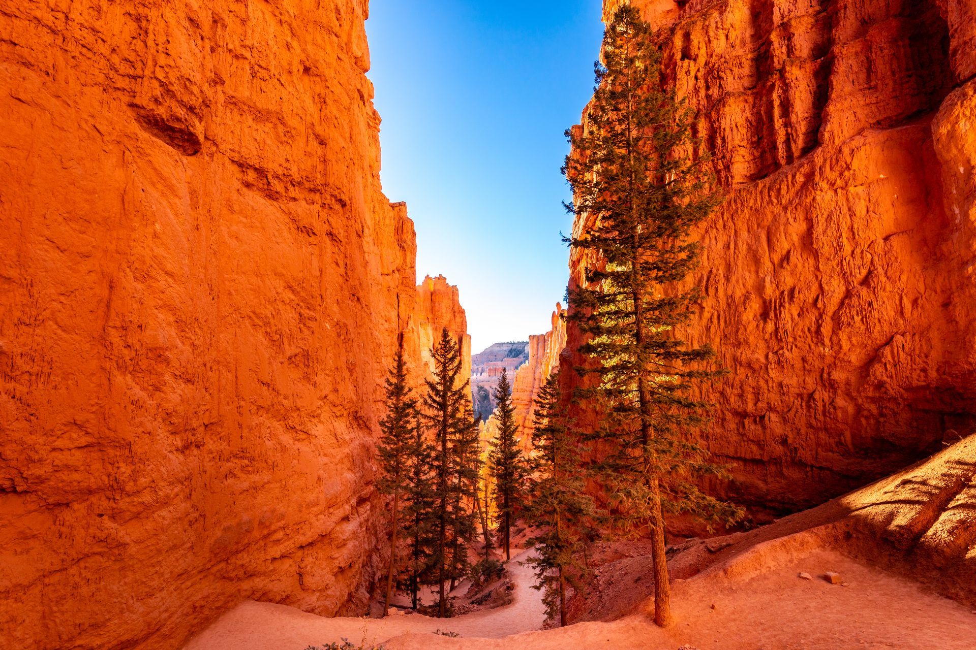 bryce canyon