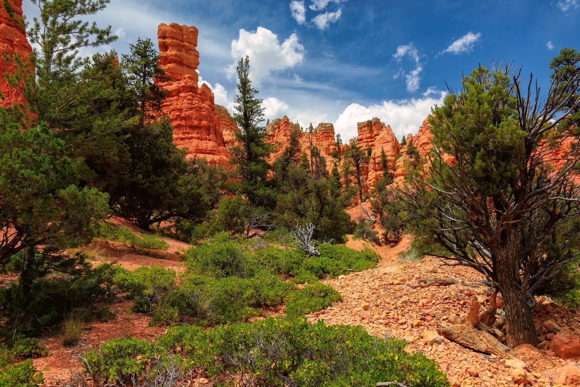 bryce canyon national park