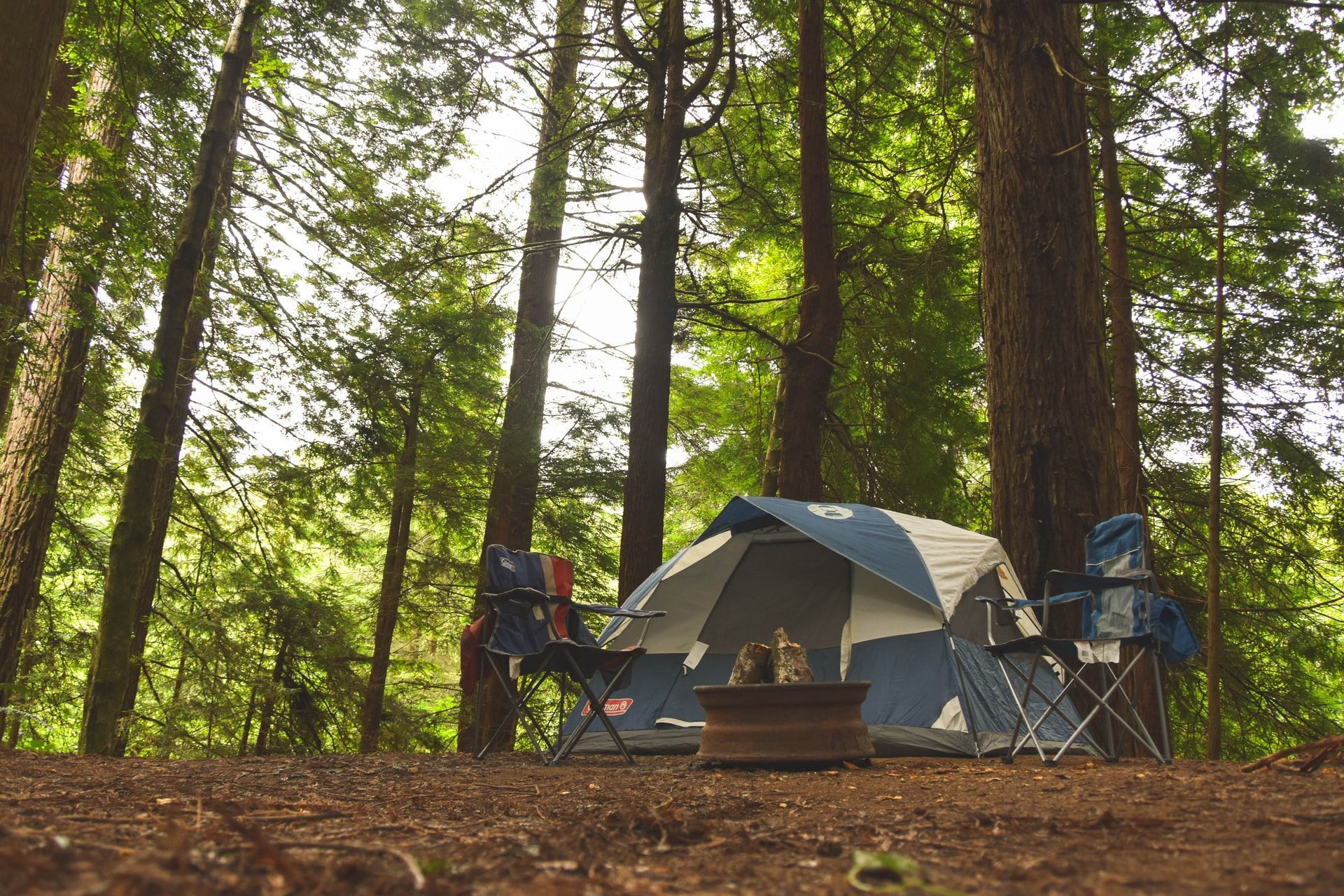 A tent is sitting in the middle of a forest next to a fire pit.