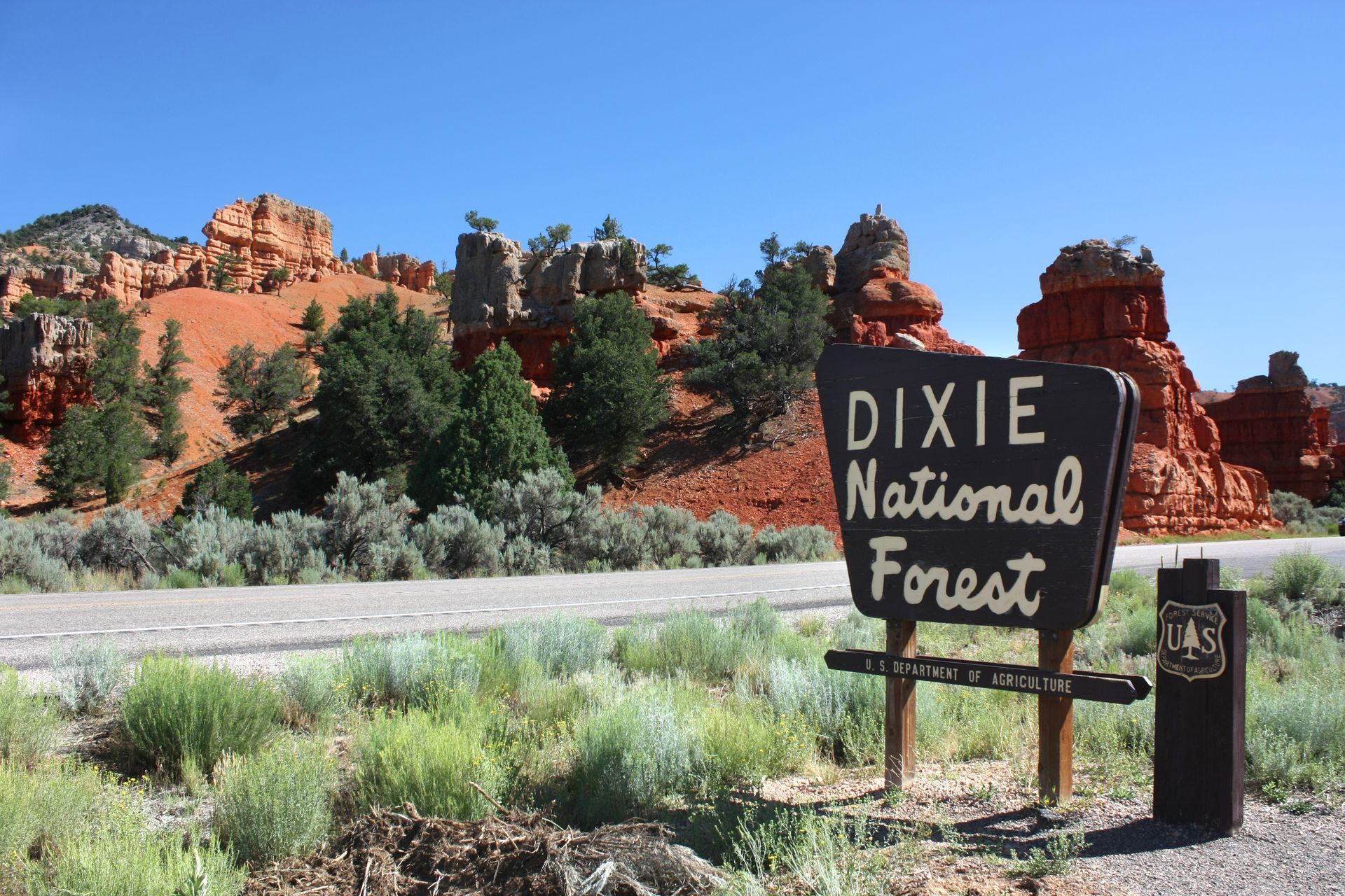 dixie national forest