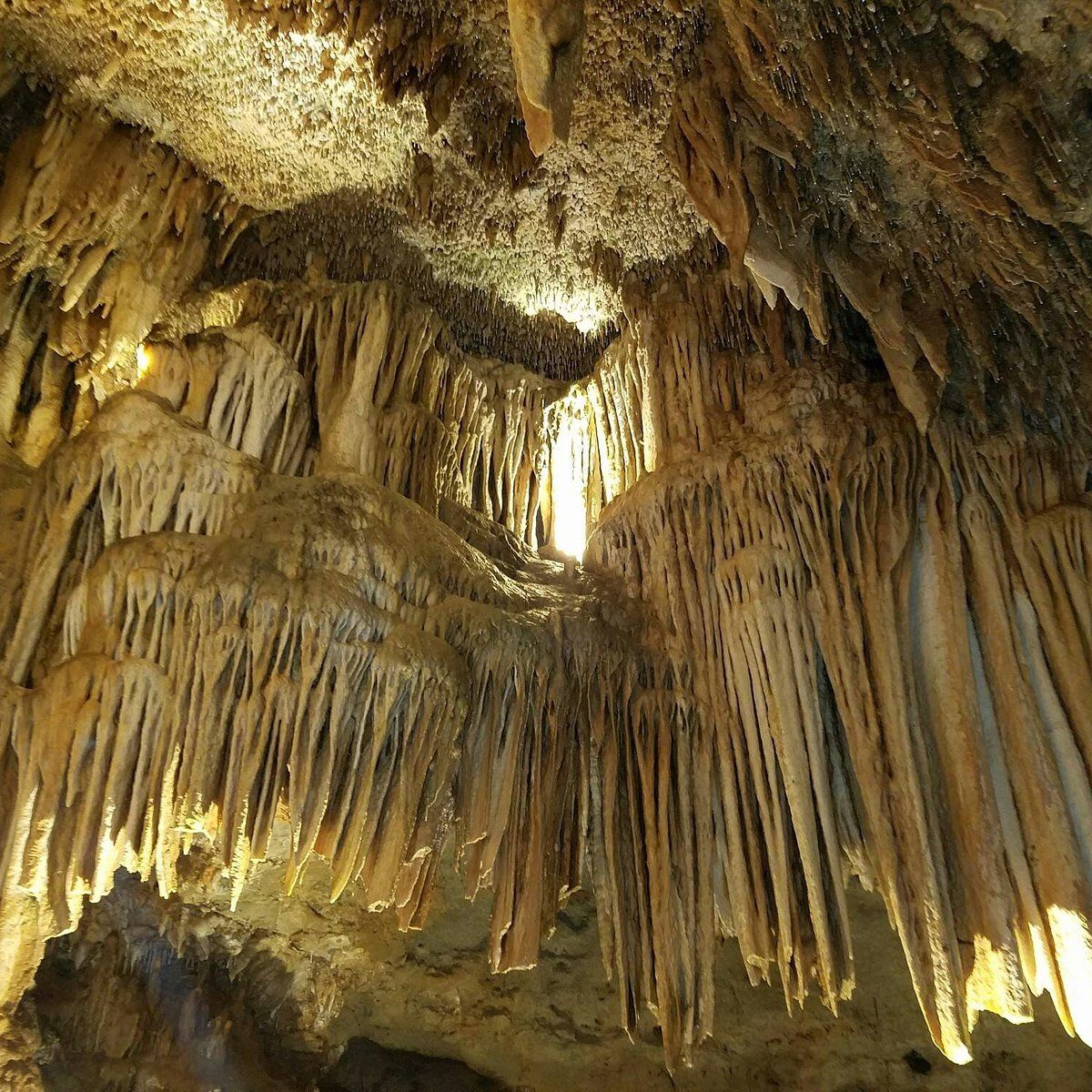 A cave filled with lots of stalagmites and stalactites