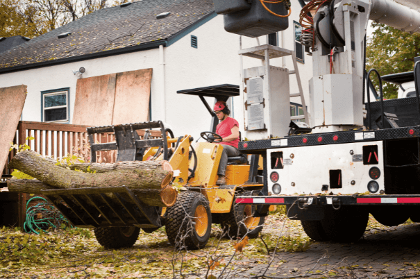 Person operating a yellow front-end loader carrying tree branches, near a tree-trimming truck and house.